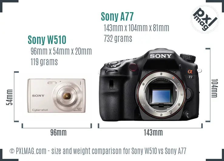 Sony W510 vs Sony A77 size comparison