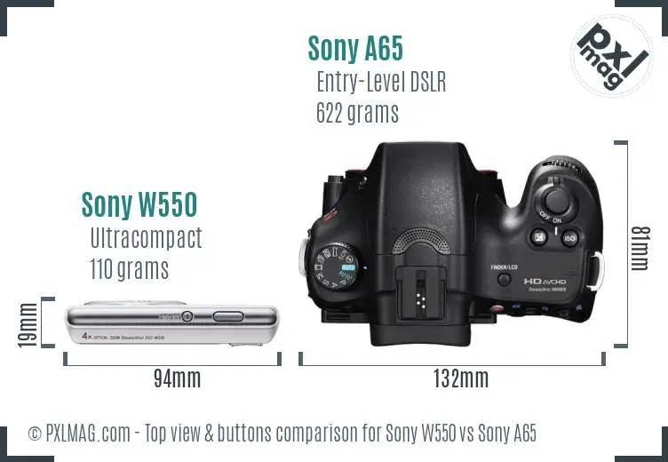 Sony W550 vs Sony A65 top view buttons comparison