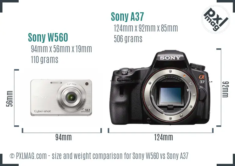 Sony W560 vs Sony A37 size comparison