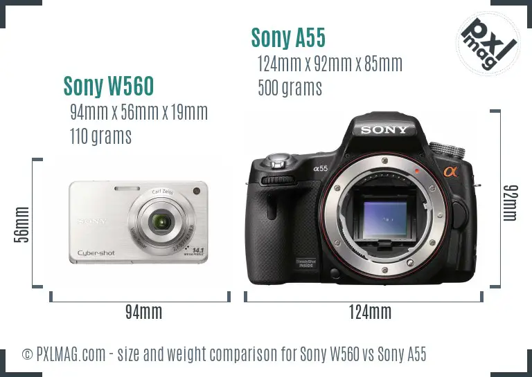 Sony W560 vs Sony A55 size comparison