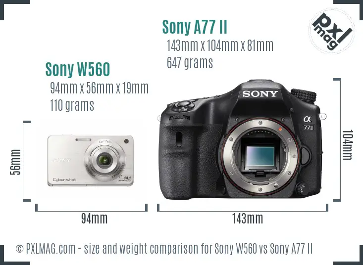 Sony W560 vs Sony A77 II size comparison