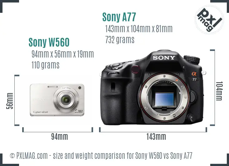 Sony W560 vs Sony A77 size comparison