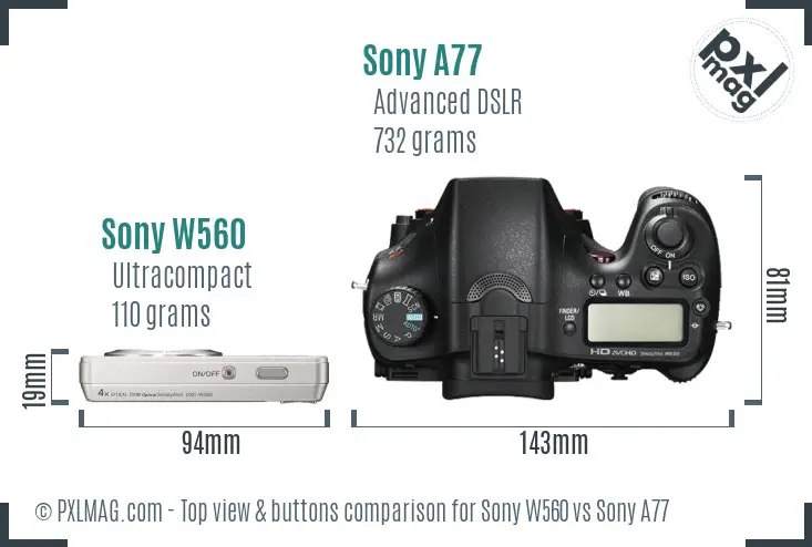 Sony W560 vs Sony A77 top view buttons comparison