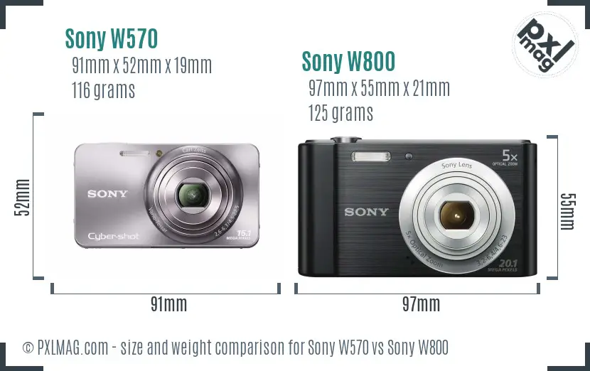 Sony W570 vs Sony W800 size comparison