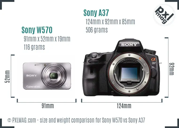 Sony W570 vs Sony A37 size comparison