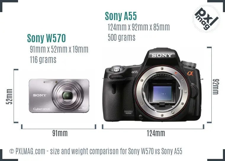 Sony W570 vs Sony A55 size comparison