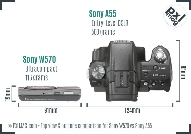 Sony W570 vs Sony A55 top view buttons comparison