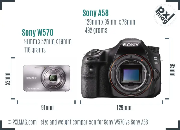 Sony W570 vs Sony A58 size comparison