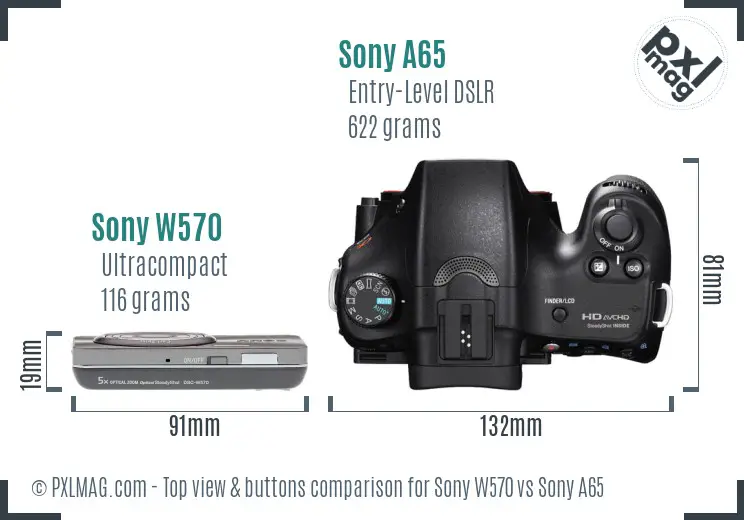 Sony W570 vs Sony A65 top view buttons comparison