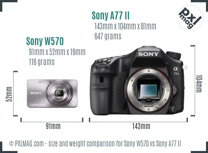 Sony W570 vs Sony A77 II size comparison