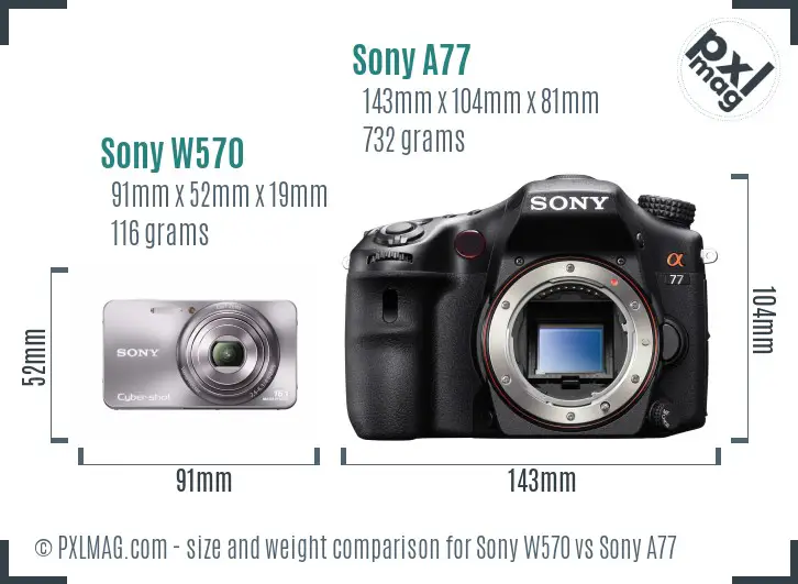 Sony W570 vs Sony A77 size comparison