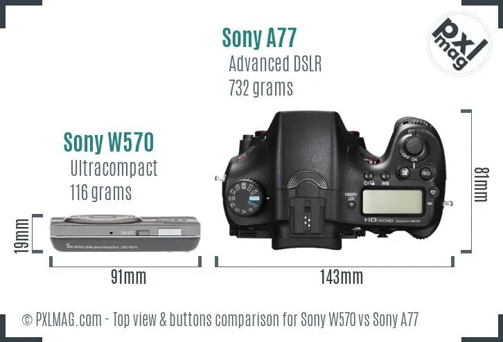 Sony W570 vs Sony A77 top view buttons comparison