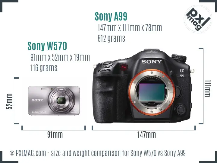 Sony W570 vs Sony A99 size comparison