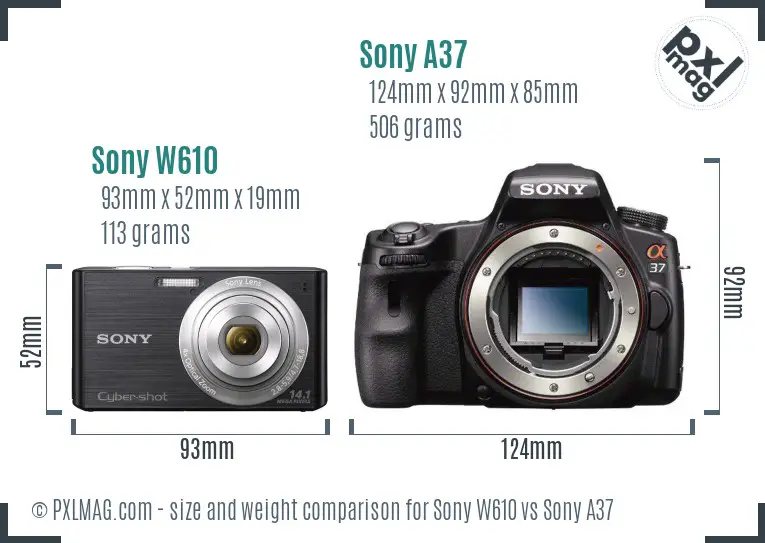 Sony W610 vs Sony A37 size comparison