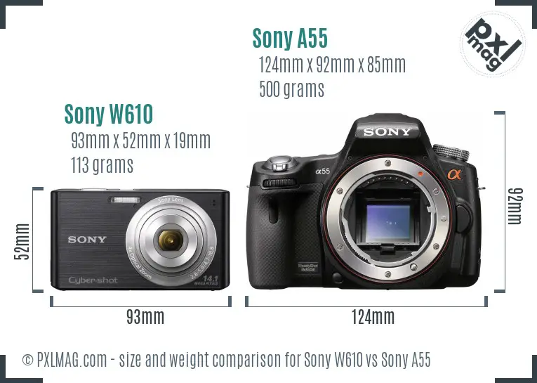 Sony W610 vs Sony A55 size comparison