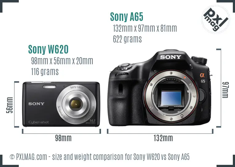 Sony W620 vs Sony A65 size comparison