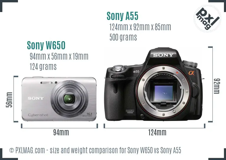 Sony W650 vs Sony A55 size comparison