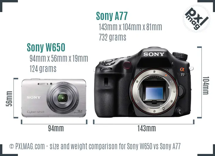 Sony W650 vs Sony A77 size comparison
