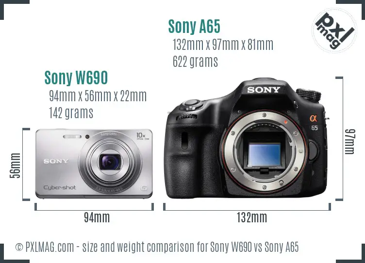 Sony W690 vs Sony A65 size comparison