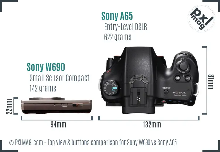 Sony W690 vs Sony A65 top view buttons comparison