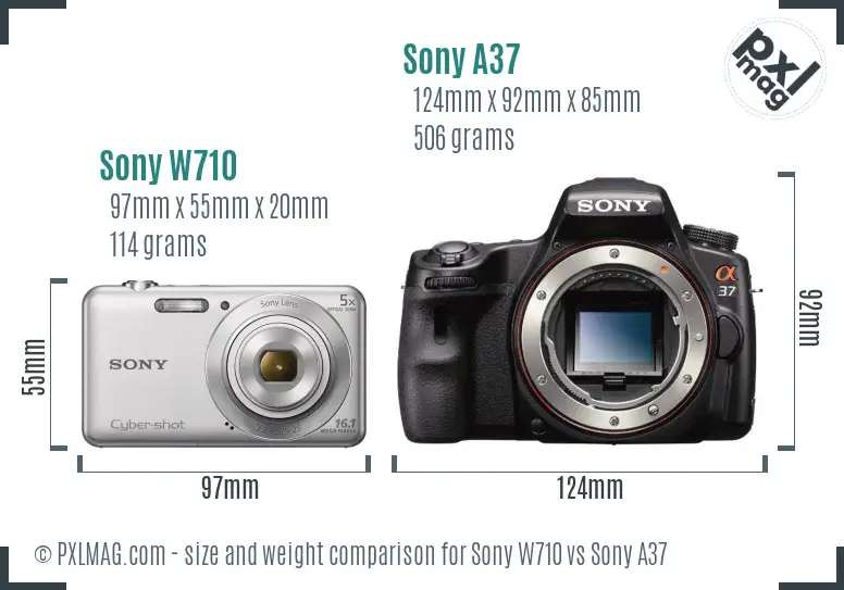 Sony W710 vs Sony A37 size comparison