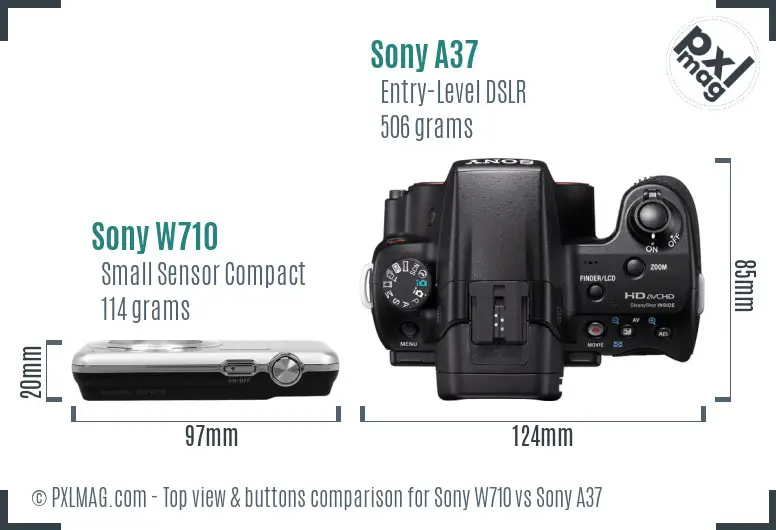 Sony W710 vs Sony A37 top view buttons comparison