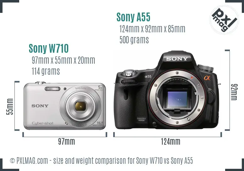 Sony W710 vs Sony A55 size comparison
