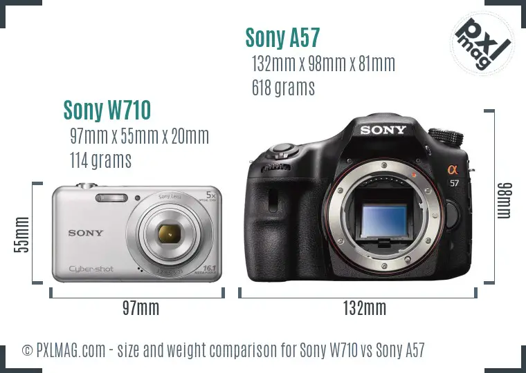 Sony W710 vs Sony A57 size comparison