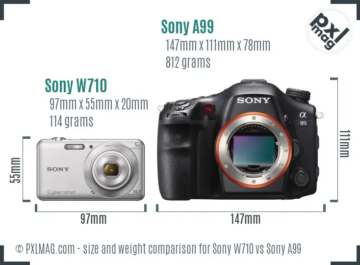 Sony W710 vs Sony A99 size comparison