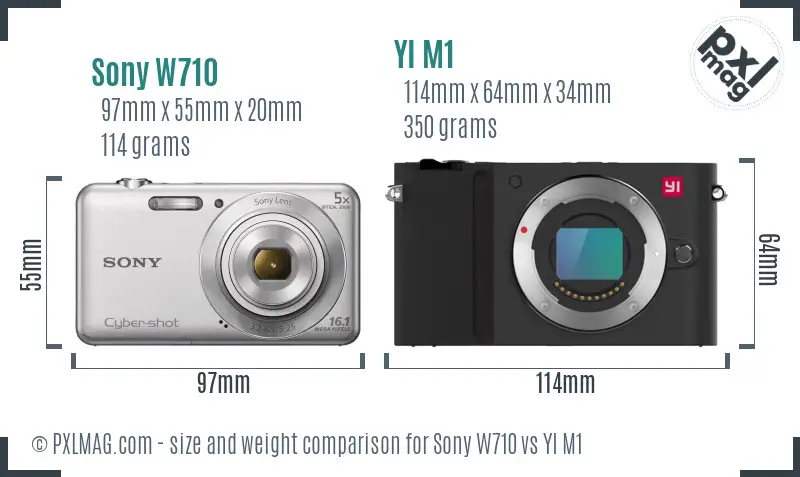 Sony W710 vs YI M1 size comparison