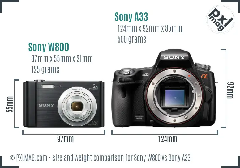 Sony W800 vs Sony A33 size comparison