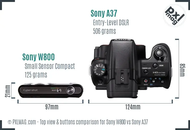 Sony W800 vs Sony A37 top view buttons comparison