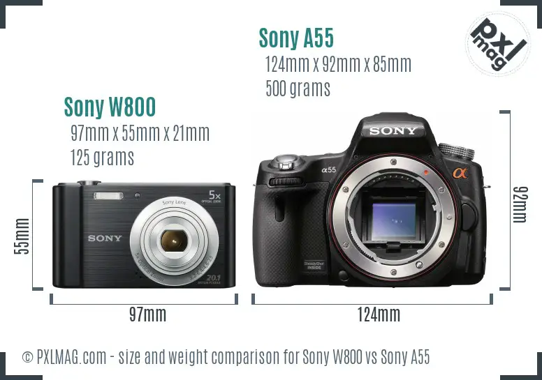 Sony W800 vs Sony A55 size comparison
