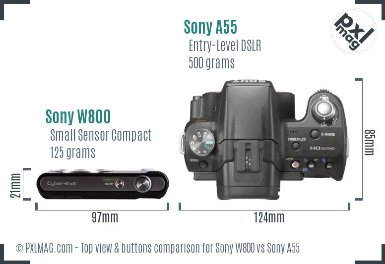 Sony W800 vs Sony A55 top view buttons comparison