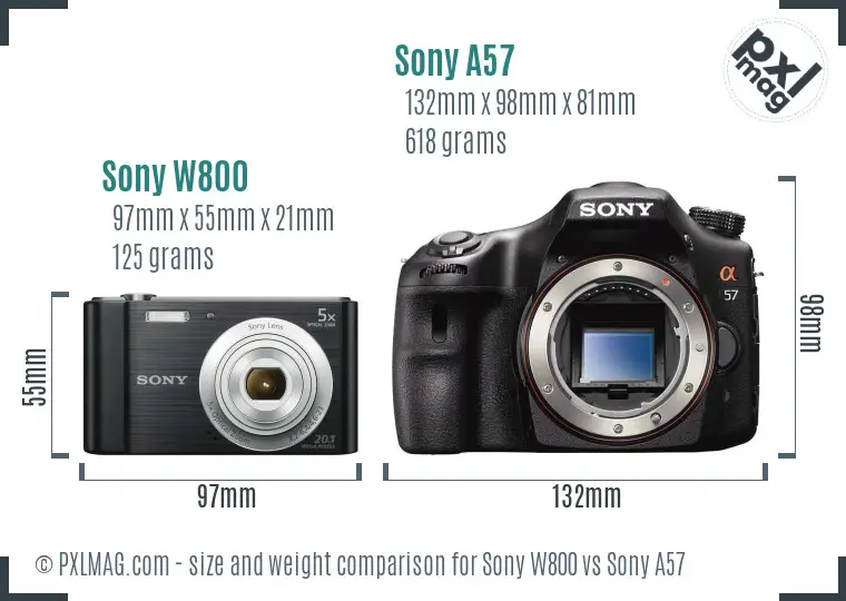 Sony W800 vs Sony A57 size comparison
