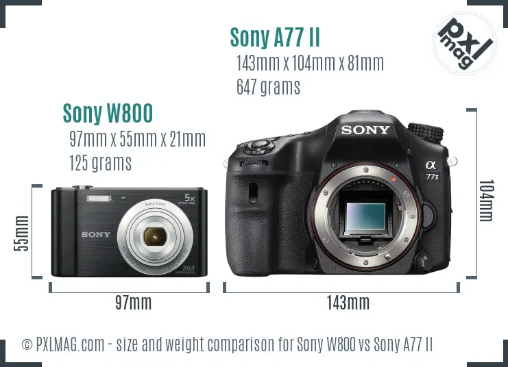 Sony W800 vs Sony A77 II size comparison