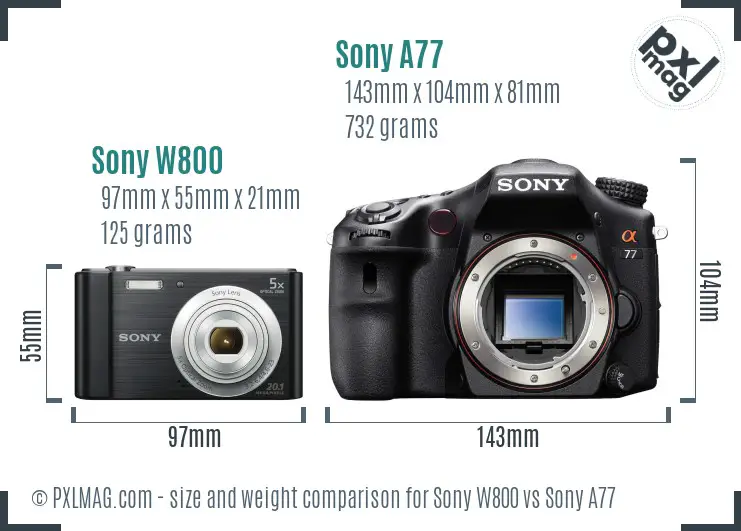 Sony W800 vs Sony A77 size comparison