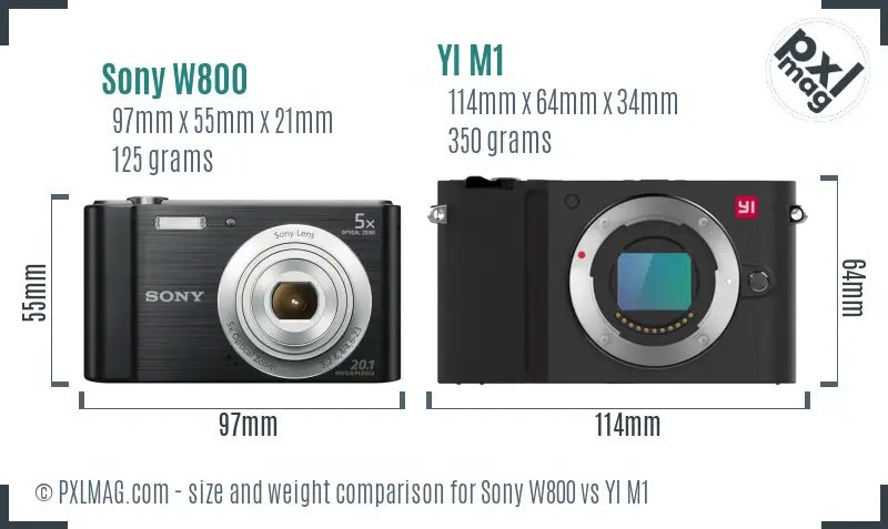 Sony W800 vs YI M1 size comparison