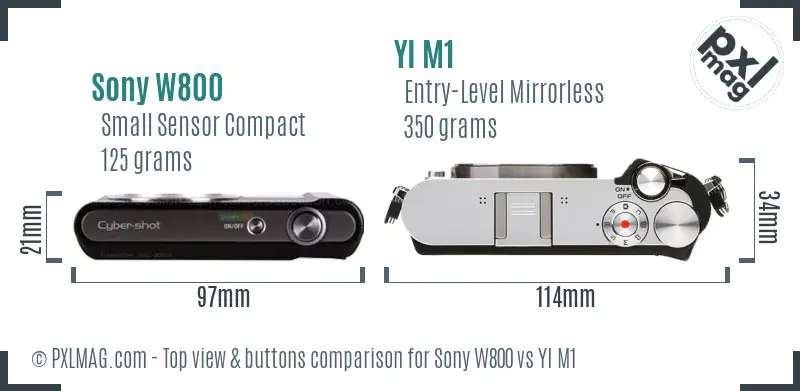 Sony W800 vs YI M1 top view buttons comparison