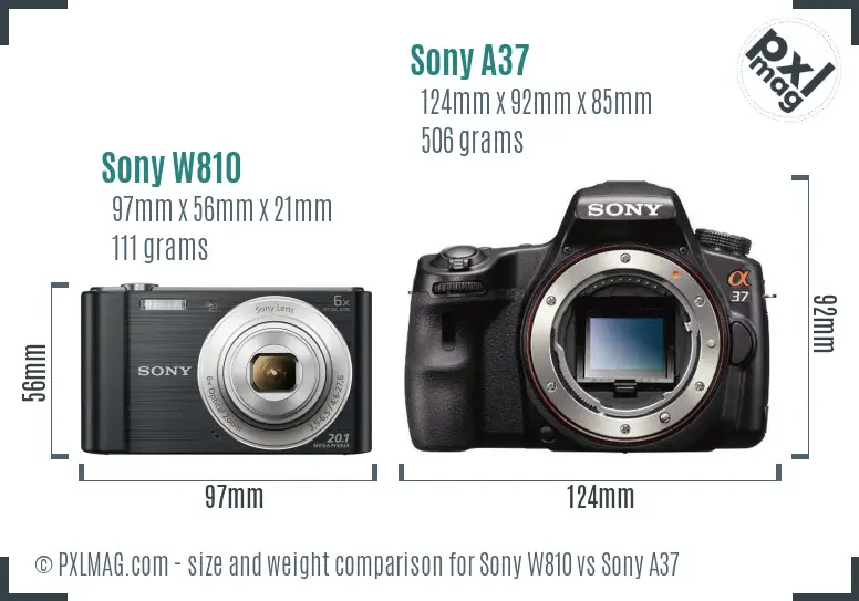 Sony W810 vs Sony A37 size comparison