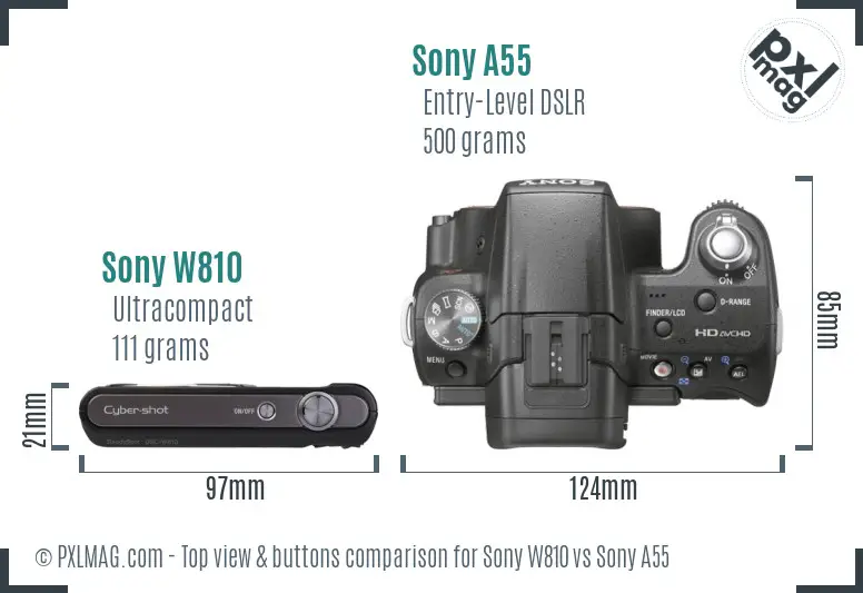 Sony W810 vs Sony A55 top view buttons comparison