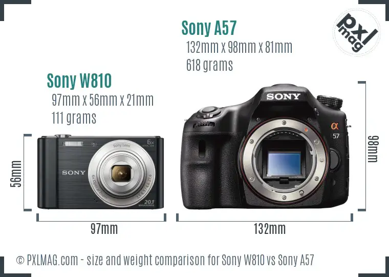 Sony W810 vs Sony A57 size comparison
