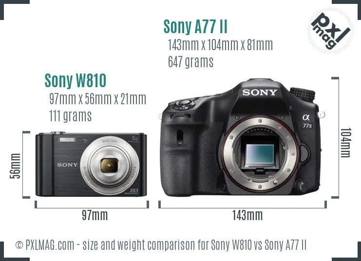 Sony W810 vs Sony A77 II size comparison