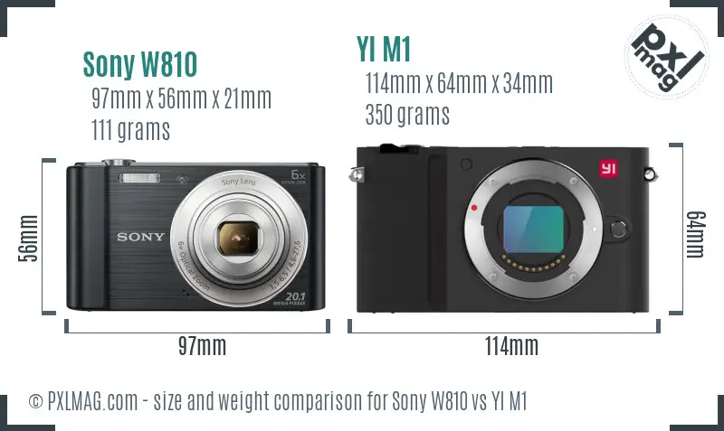 Sony W810 vs YI M1 size comparison