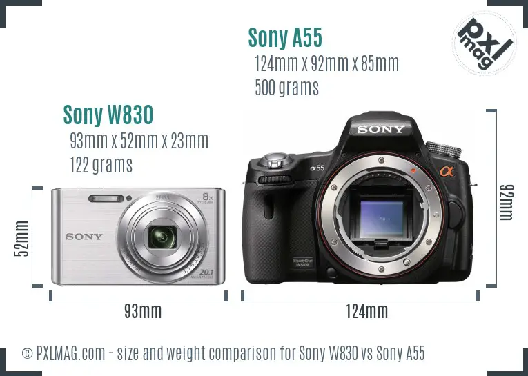 Sony W830 vs Sony A55 size comparison
