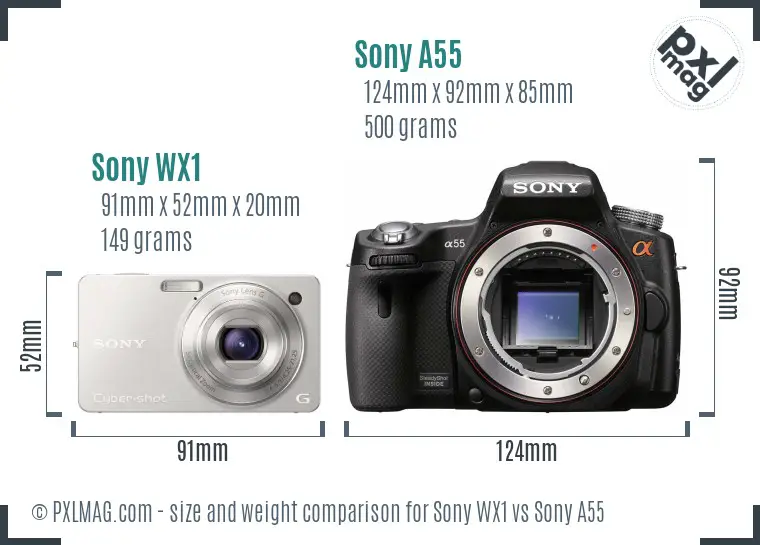 Sony WX1 vs Sony A55 size comparison