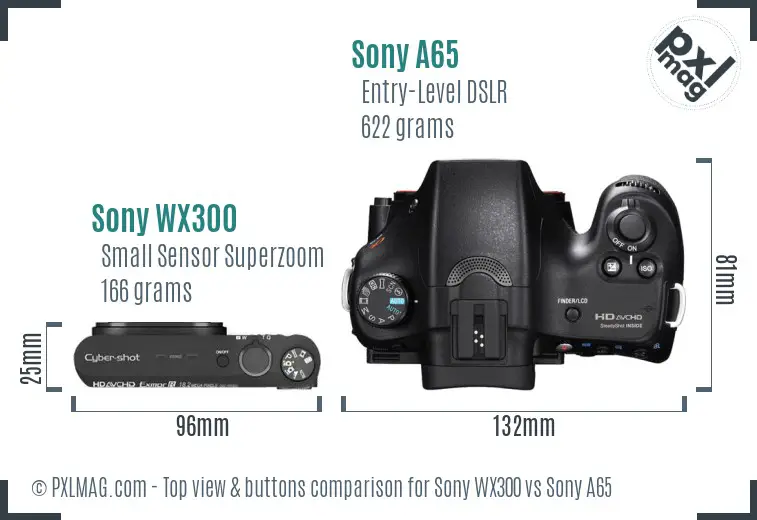 Sony WX300 vs Sony A65 top view buttons comparison