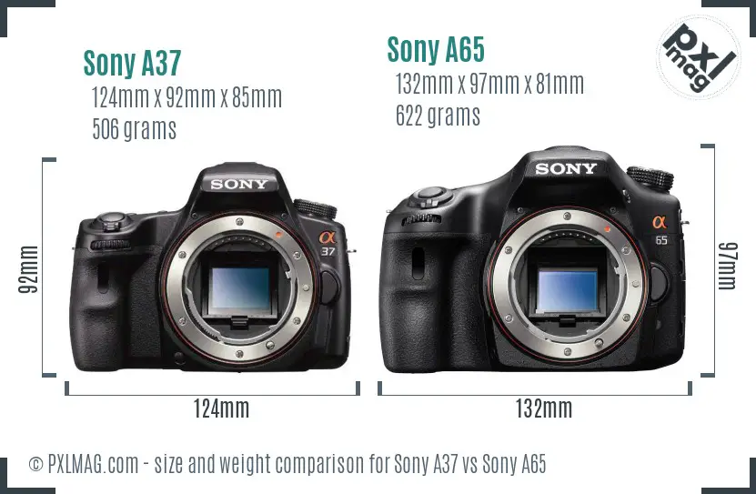 Sony A37 vs Sony A65 size comparison