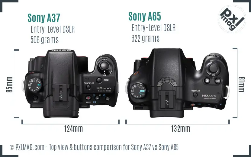 Sony A37 vs Sony A65 top view buttons comparison