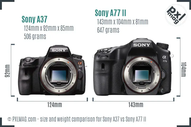 Sony A37 vs Sony A77 II size comparison